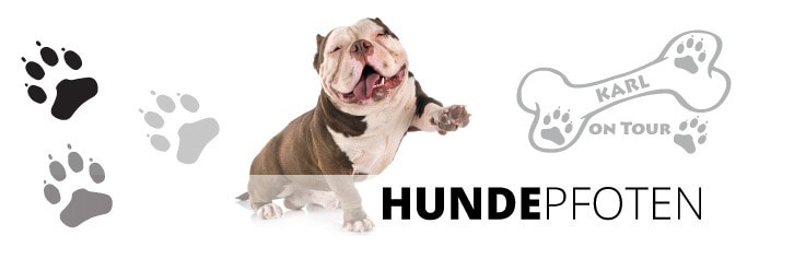 lencyotool Hund knacken Autoaufkleber,Hunde-Fensteraufkleber für Autorisse  | 3D-Hundemuster, Autofenster, Crack-Aufkleber, Aufkleber für