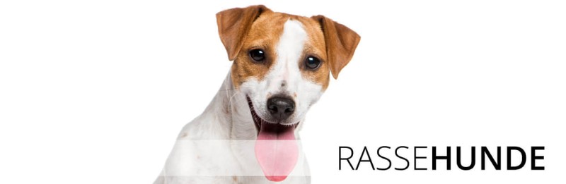 Hunde-Comic Aufkleber selbst gestalten » viele Farben & Größen